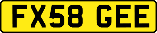 FX58GEE