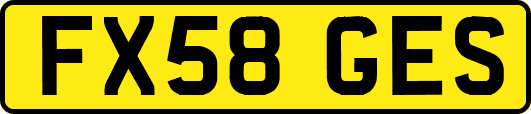 FX58GES