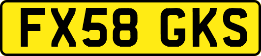 FX58GKS