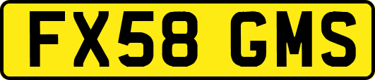 FX58GMS