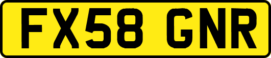FX58GNR