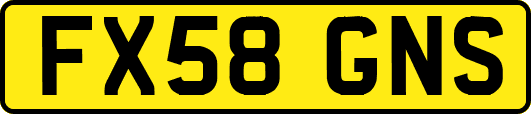 FX58GNS