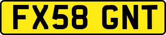 FX58GNT