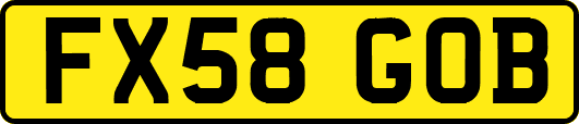 FX58GOB