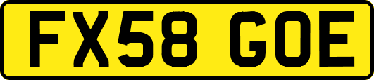 FX58GOE
