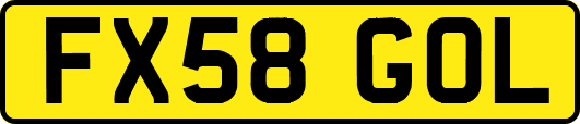 FX58GOL
