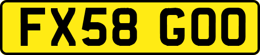 FX58GOO