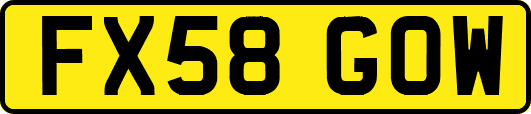 FX58GOW