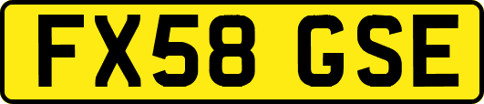 FX58GSE