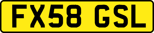 FX58GSL