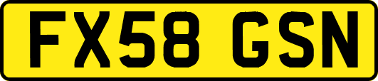 FX58GSN
