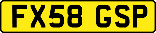 FX58GSP