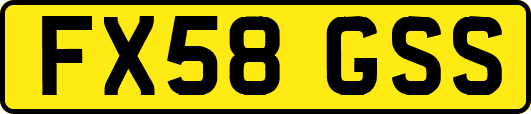 FX58GSS