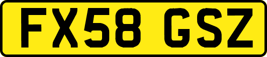 FX58GSZ