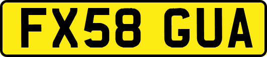 FX58GUA