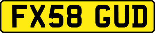 FX58GUD