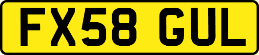 FX58GUL