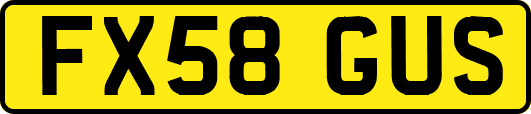 FX58GUS