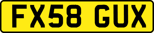 FX58GUX