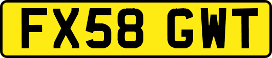 FX58GWT