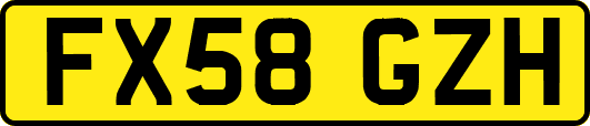 FX58GZH