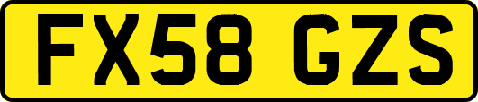 FX58GZS