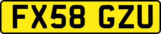FX58GZU