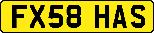 FX58HAS