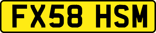 FX58HSM