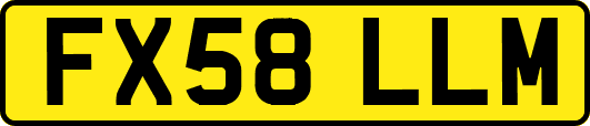 FX58LLM