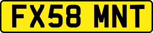 FX58MNT