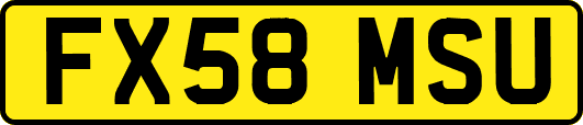 FX58MSU