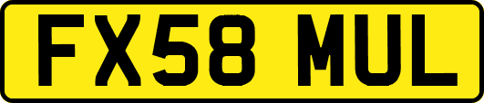 FX58MUL