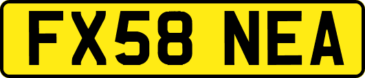 FX58NEA