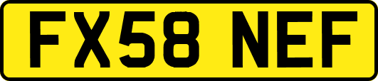 FX58NEF