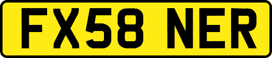 FX58NER