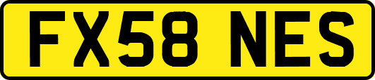 FX58NES