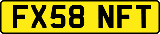 FX58NFT