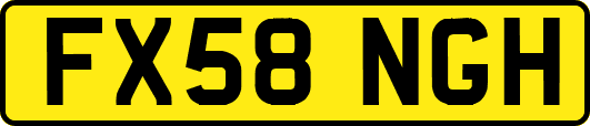 FX58NGH