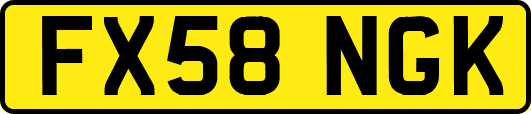 FX58NGK
