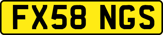 FX58NGS