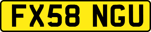 FX58NGU