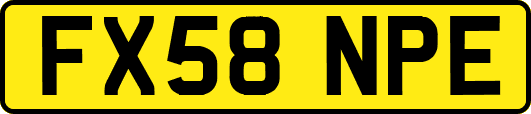 FX58NPE
