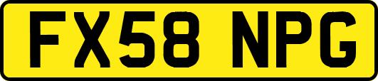 FX58NPG