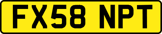 FX58NPT