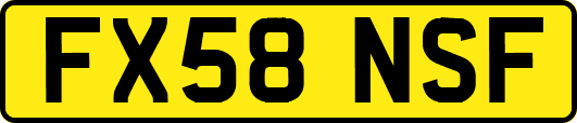 FX58NSF