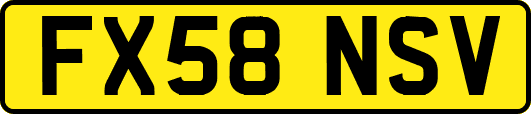 FX58NSV