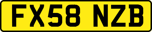 FX58NZB