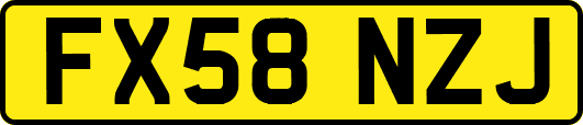 FX58NZJ