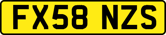 FX58NZS